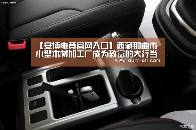 【安博电竞官网入口】西藏那曲市小型木材加工厂成为致富的大行当(图2) 安博最新版
