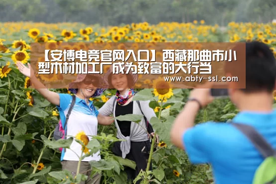 【安博电竞官网入口】西藏那曲市小型木材加工厂成为致富的大行当(图1) 安博电竞官网入口